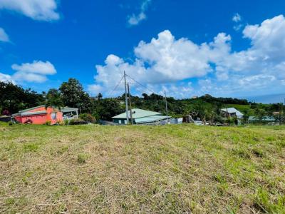 Annonce Vente Terrain Lorrain 972