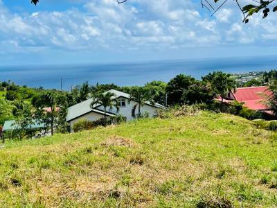 Acheter Terrain Lorrain Martinique
