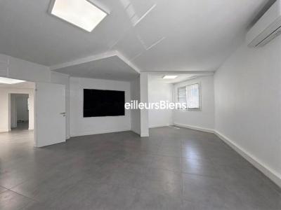 Annonce Location Bureau Colomiers 31
