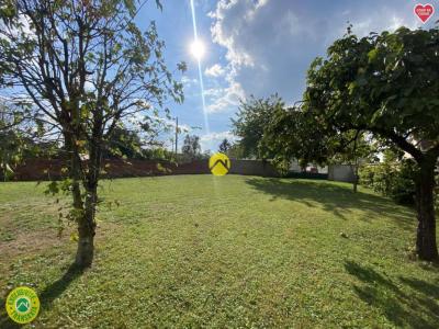 Annonce Vente 10 pi�ces Maison Guerche-sur-l'aubois 18