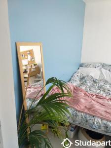 Annonce Location Appartement Angers 49
