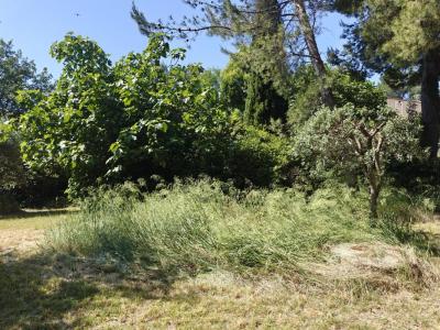 For sale Vedene 4 rooms 80 m2 Vaucluse (84270) photo 2