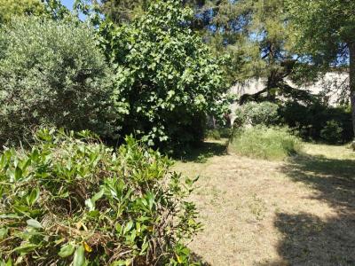 For sale Vedene 451 m2 Vaucluse (84270) photo 0