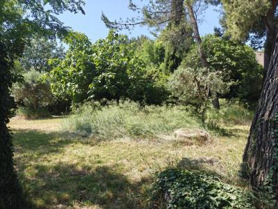 For sale Vedene 451 m2 Vaucluse (84270) photo 2