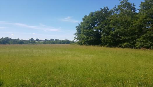Annonce Vente Terrain Eguzon-chantome 36