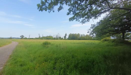 Acheter Terrain 27555 m2 Eguzon-chantome