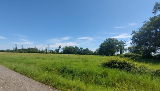 Acheter Terrain Eguzon-chantome Indre