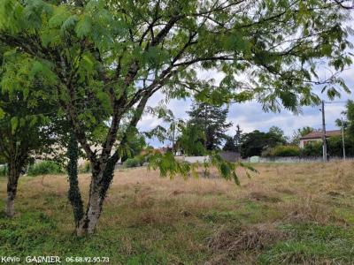 Annonce Vente Terrain Linars 16