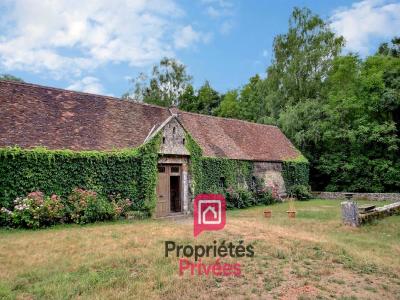 Annonce Vente 21 pi�ces Maison Ferrieres 45