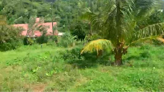 Acheter Terrain 1494 m2 Morne-vert