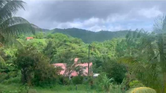 Acheter Terrain Morne-vert Martinique