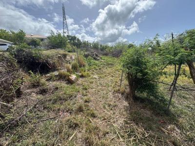 Acheter Terrain Case-pilote Martinique