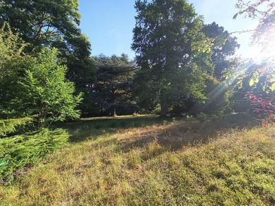 For sale Cosne-cours-sur-loire 10 rooms 420 m2 Nievre (58200) photo 0