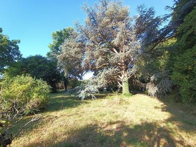 Acheter Prestige Cosne-cours-sur-loire 399000 euros