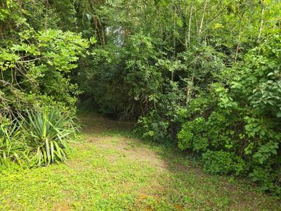 For sale Palaiseau 1285 m2 Essonne (91120) photo 1