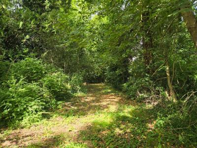 For sale Palaiseau 1285 m2 Essonne (91120) photo 3