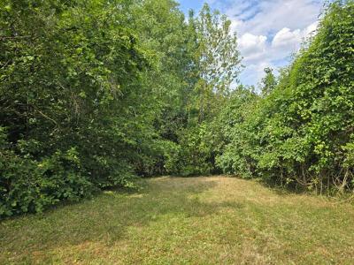 For sale Palaiseau 1285 m2 Essonne (91120) photo 4