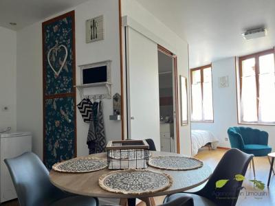 For rent Saint-leonard-de-noblat 1 room 28 m2 Haute vienne (87400) photo 3