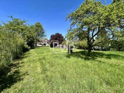 Acheter Maison 225 m2 Arras
