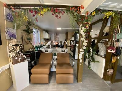 Annonce Vente Local commercial Hoenheim 67