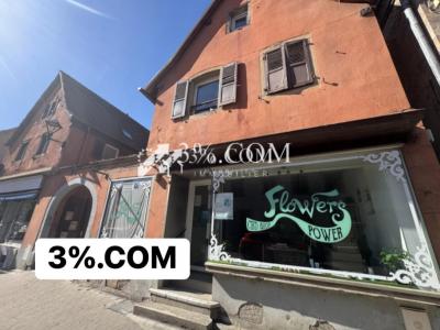 Acheter Local commercial 39 m2 Hochfelden
