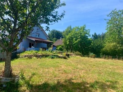 For sale Ueberstrass 4 rooms 93 m2 Haut rhin (68580) photo 1