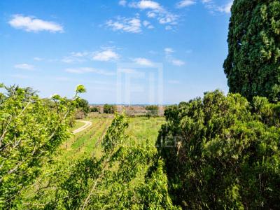 Annonce Vente 8 pi�ces Maison Argeles-sur-mer 66