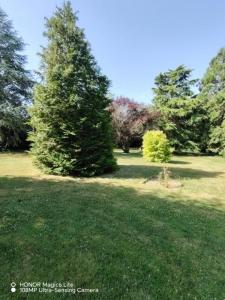 For sale Sasnieres 7 rooms 183 m2 Loir et cher (41310) photo 1