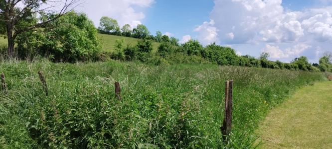 For sale Pouilly-en-auxois 1202 m2 Cote d'or (21320) photo 0