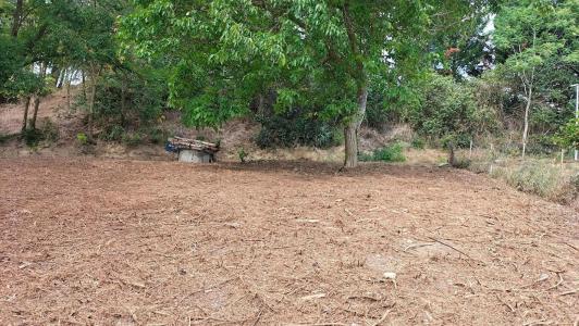 Annonce Vente Terrain Puycasquier 32