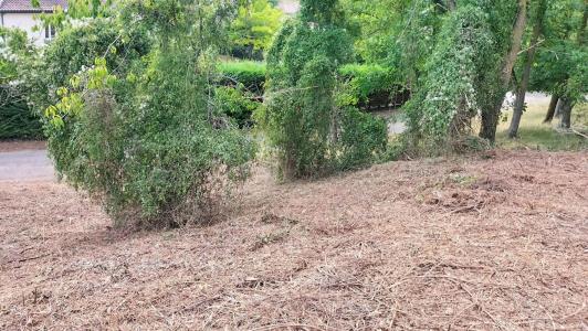 Acheter Terrain Puycasquier Gers