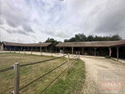 Annonce Vente Prestige Mailleraye-sur-seine 76