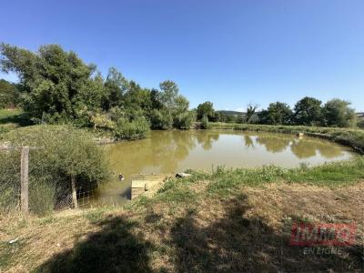 Annonce Vente Prestige Saint-christophe-et-le-laris 26