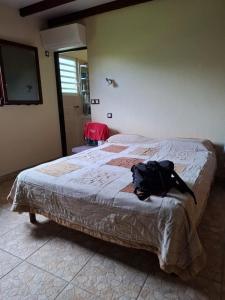 Acheter Maison Roura 320000 euros