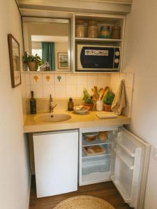 For sale Lyon-8eme-arrondissement 1 room 12 m2 Rhone (69008) photo 2