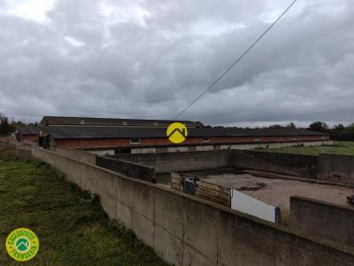 Annonce Vente Local commercial Lurcy-levis 03