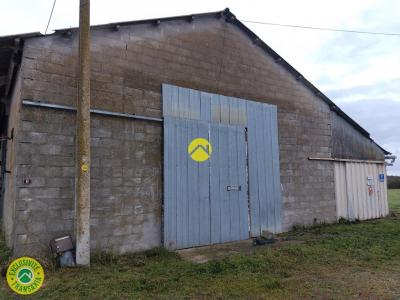 Acheter Local commercial Lurcy-levis Allier