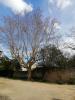 For sale Land Beausset  618 m2