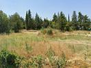 For sale Land Grillon  505 m2
