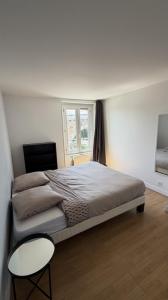Louer Appartement 46 m2 Joinville-le-pont