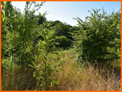 For sale Ain (01120) photo 1