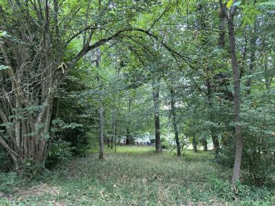 Annonce Vente 5 pi�ces Maison  09