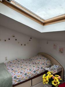 Louer Appartement  Nord