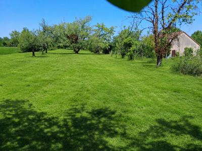 Annonce Vente Terrain Carisey 89