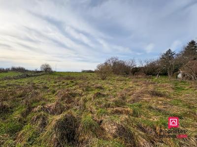 For sale Precy-sous-thil 2605 m2 Cote d'or (21390) photo 2