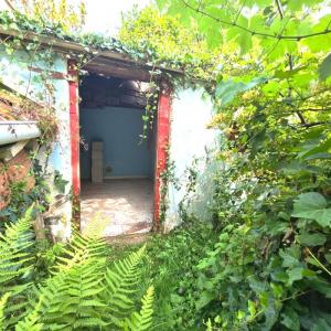Annonce Vente 3 pi�ces Maison Nantes 44
