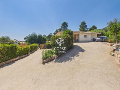 Annonce Vente 7 pi�ces Maison Sainte-lucie-de-porto-vecchio 20