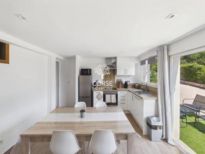 Acheter Maison Sainte-lucie-de-porto-vecchio 787500 euros