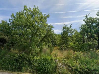 For sale Grignan 740 m2 Drome (26230) photo 0