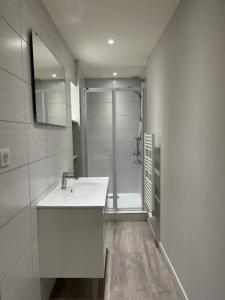 Louer Appartement 56 m2 Roanne